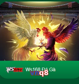 vnq8
